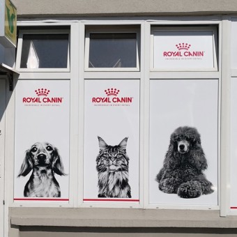 reklama na oknach Łódź